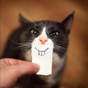 Meet your Posher, Haidar